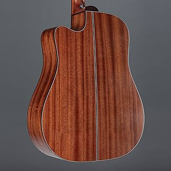 Amazon | Takamine タカミネ Pro Series 2 Dreadnought Cutaway